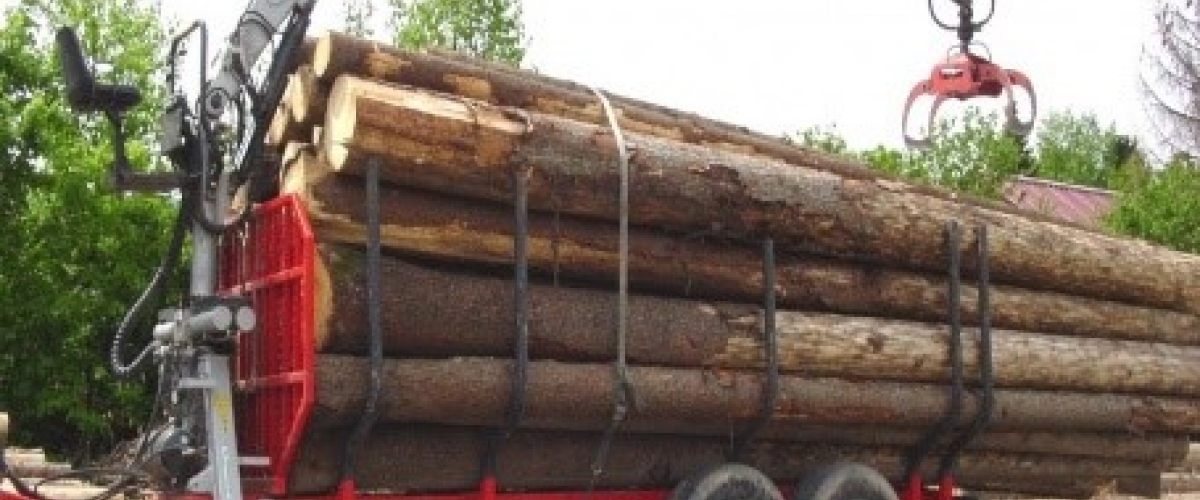 Hydraulikzylinder für Forstkräne, Traktoranbaugeräte